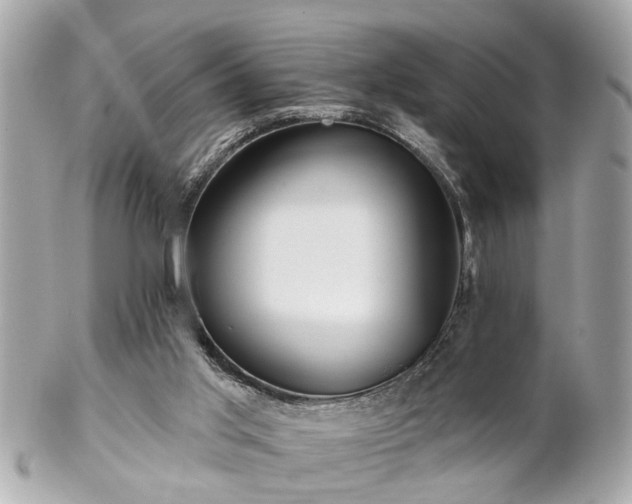 X0000102490013200808151507