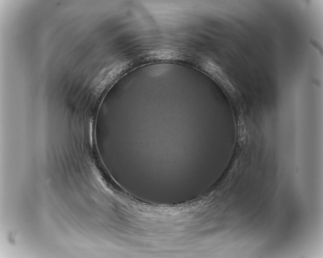 X0000102490014200808151507