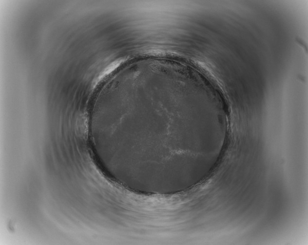 X0000102490016200808151507