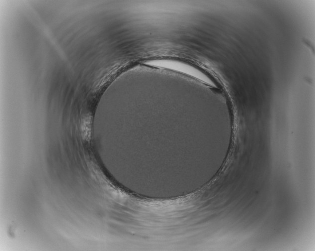 X0000102490017200808151507