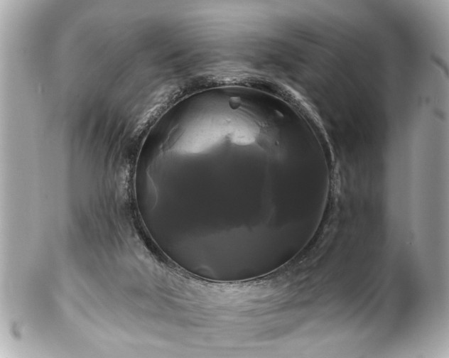 X0000102490018200808151507