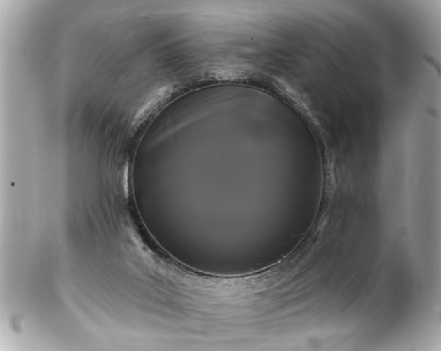 X0000102490019200808151507