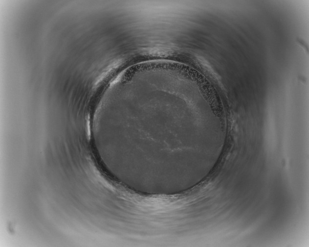 X0000102490020200808151507