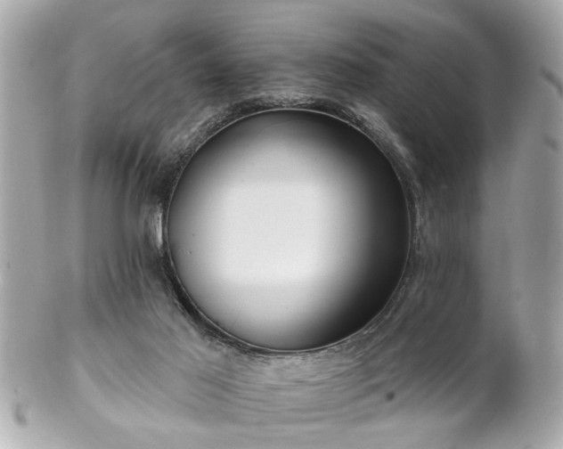 X0000102490021200808151507