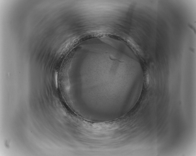 X0000102490022200808151507