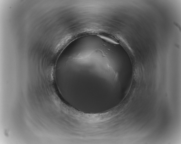 X0000102490023200808151507