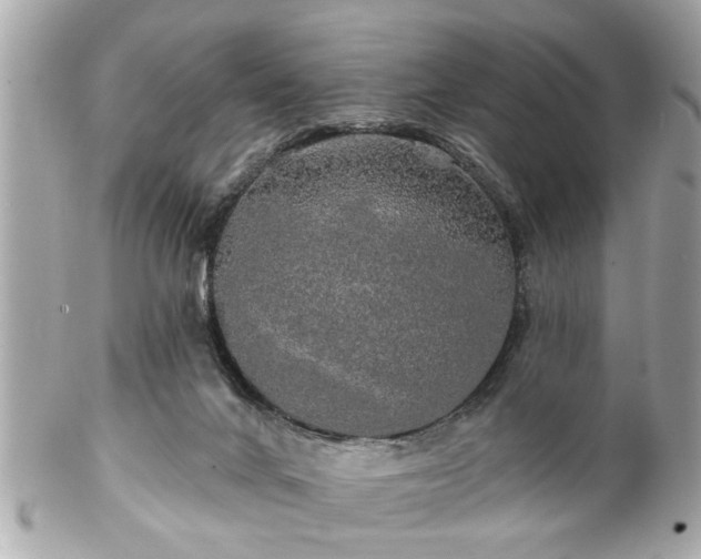 X0000102490024200808151507