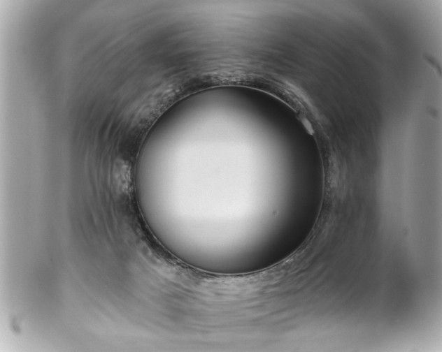 X0000102490025200808151507