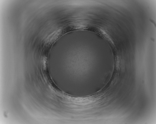 X0000102490026200808151507