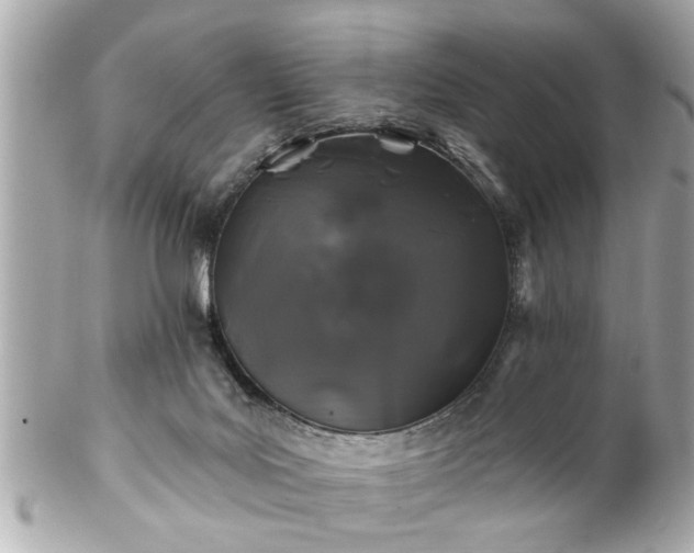 X0000102490027200808151507