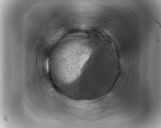 X0000102490028200808151507