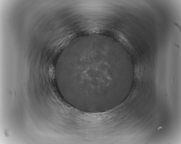 X0000102490029200808151507