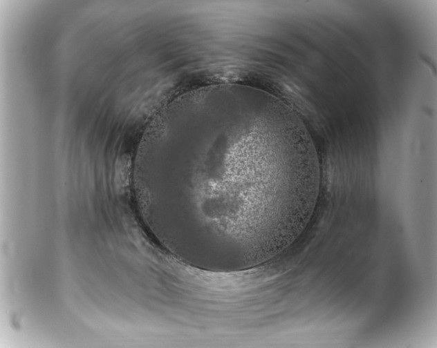 X0000102490030200808151507