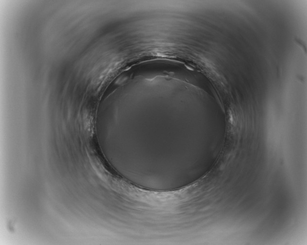 X0000102490031200808151507