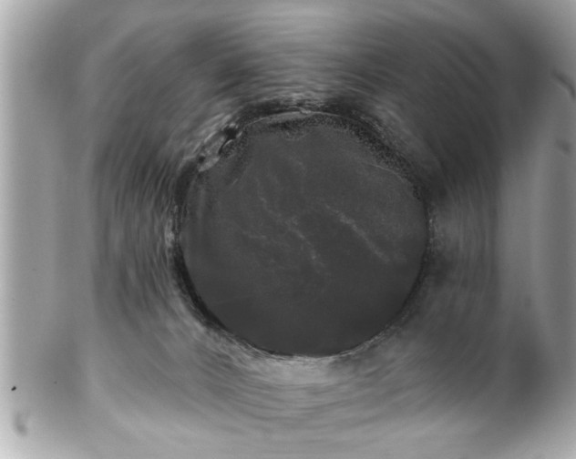 X0000102490032200808151507