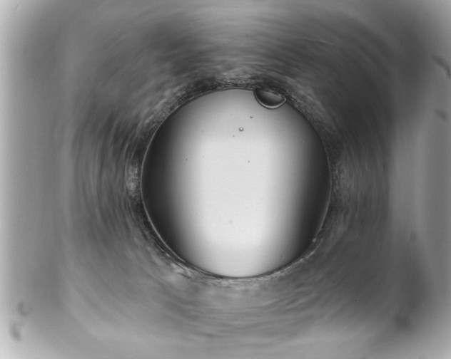 X0000102490033200808151507