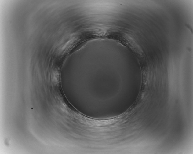 X0000102490035200808151507