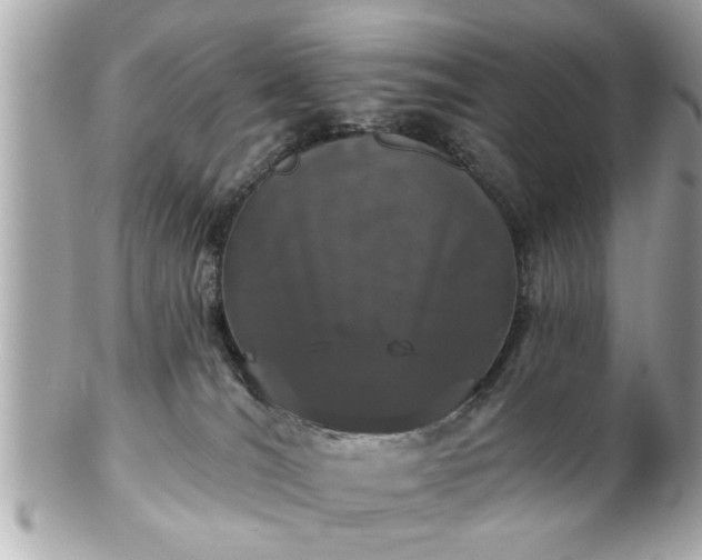 X0000102490036200808151507