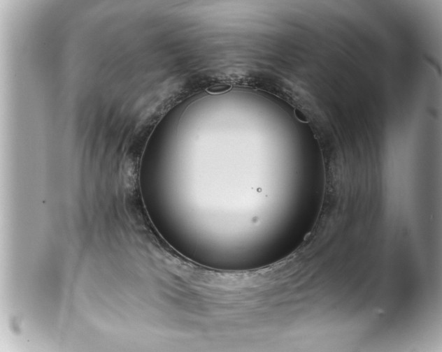 X0000102490037200808151507