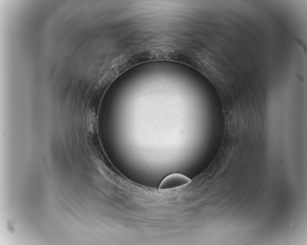 X0000102490038200808151507