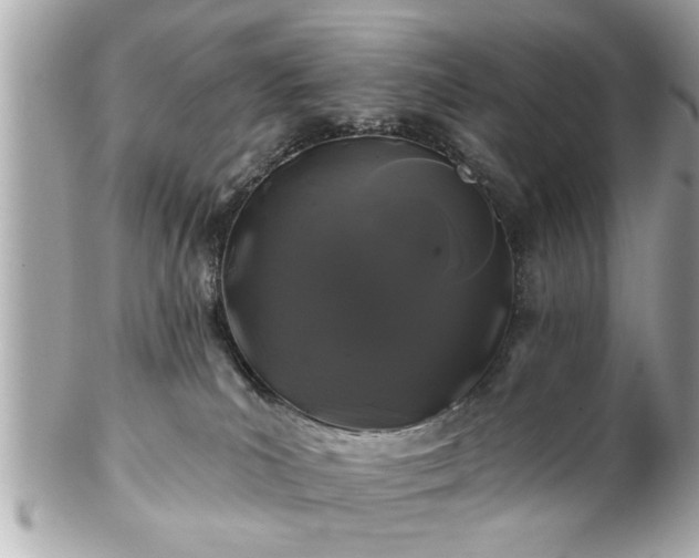 X0000102490039200808151507