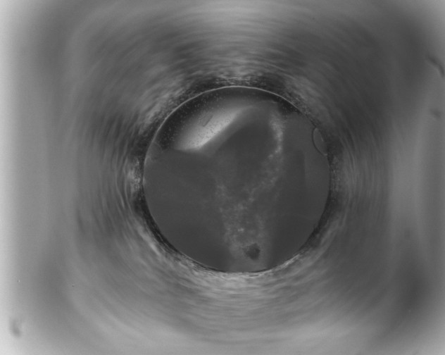 X0000102490040200808151507