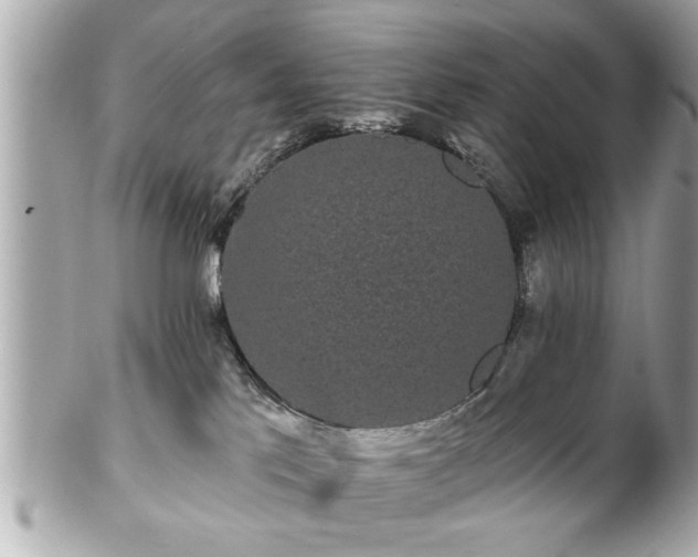 X0000102490041200808151507