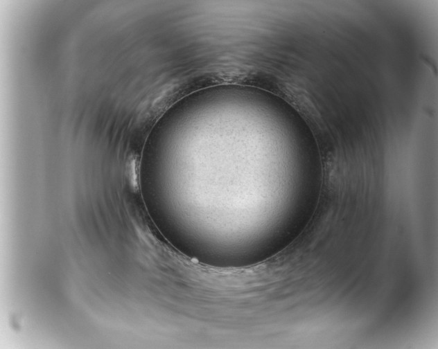 X0000102490042200808151507