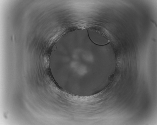 X0000102490043200808151507