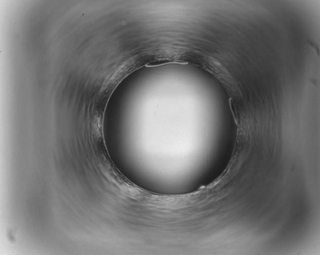 X0000102490045200808151507