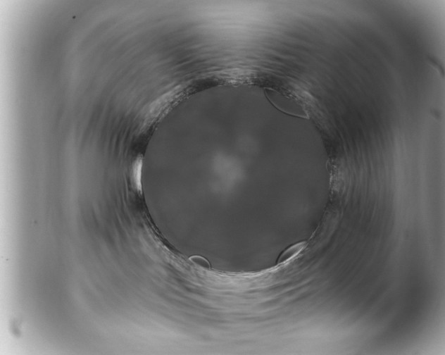 X0000102490047200808151507