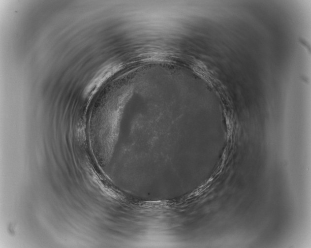 X0000102490050200808151506