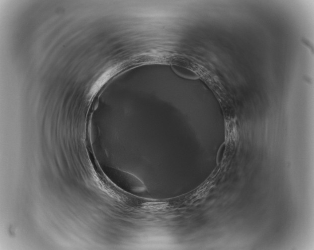 X0000102490051200808151506