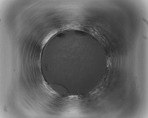 X0000102490052200808151506