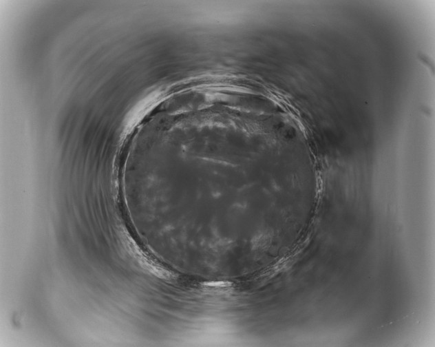 X0000102490053200808151506