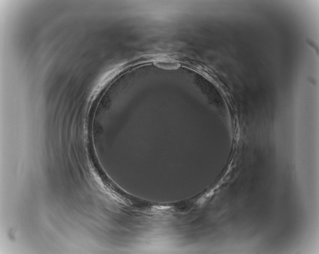 X0000102490055200808151506