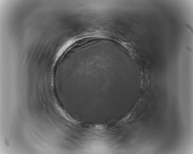 X0000102490056200808151506