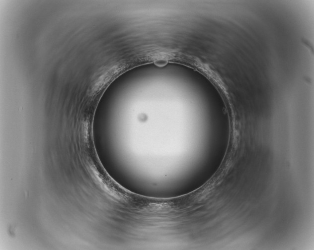 X0000102490057200808151506