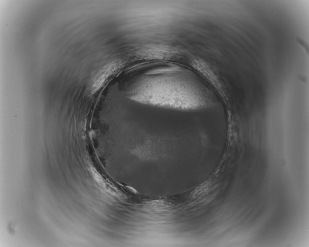 X0000102490058200808151506