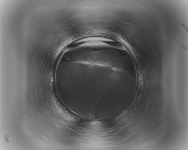 X0000102490059200808151506