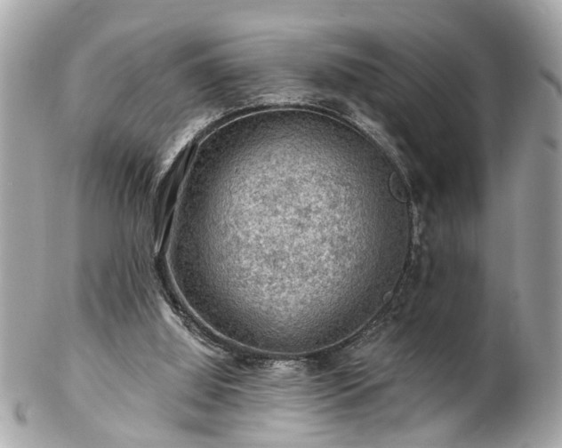 X0000102490060200808151506