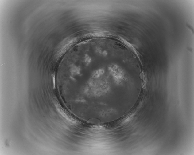 X0000102490061200808151506