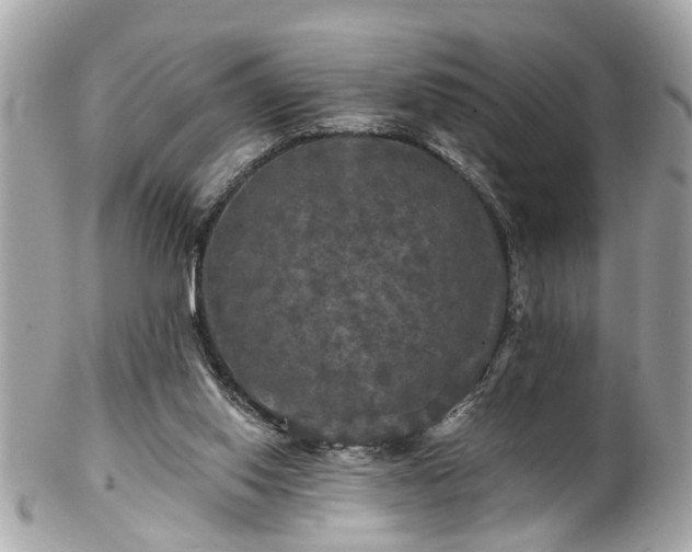 X0000102490062200808151506