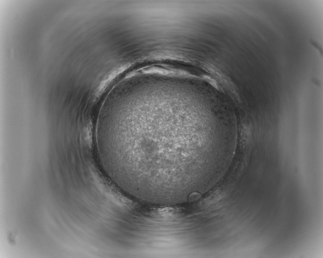 X0000102490064200808151506