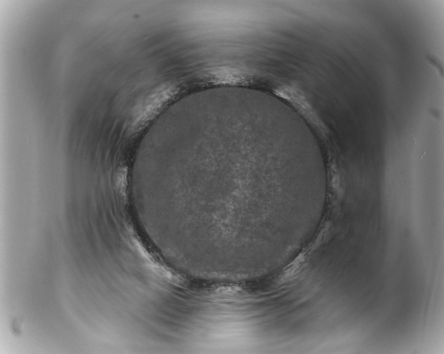 X0000102490066200808151506