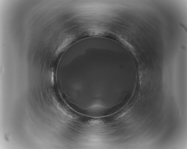 X0000102490067200808151506