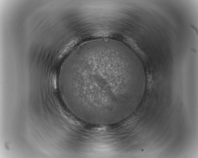 X0000102490068200808151506