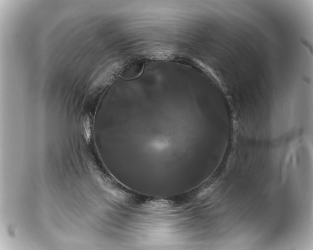 X0000102490069200808151506