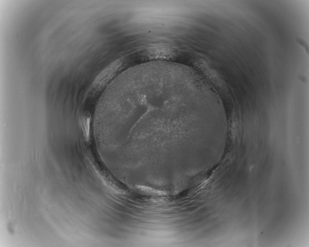 X0000102490070200808151506