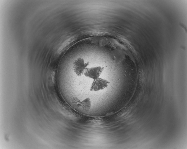 X0000102490071200808151506